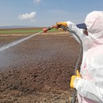 Vektörel mücadele çalışmaları devam ediyor