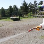 Mesire alanlarında vektörel mücadele sürüyor