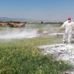 Belediyemiz, vektörel mücadelede tedbiri elden bırakmıyor