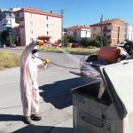 Belediyemiz vektörel mücadelede hız kesmiyor