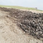 Vektörel mücadele çalışmaları devam ediyor