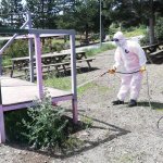 Mesire alanlarında vektörel mücadele sürüyor