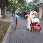 Belediyemiz, vektörel mücadelede hız kesmiyor