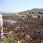 Belediyemiz, vektörel mücadelede hız kesmiyor