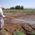 Belediyemiz, vektörel mücadelede hız kesmiyor