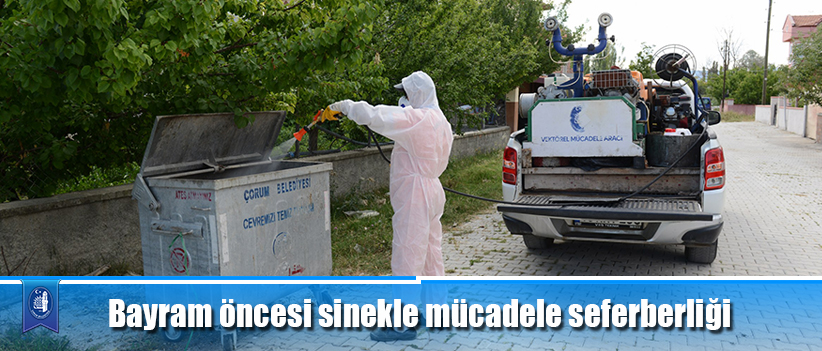 Bayram öncesi sinekle mücadele seferberliği