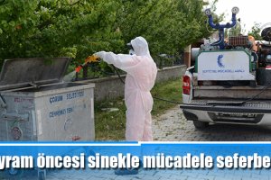 Bayram öncesi sinekle mücadele seferberliği