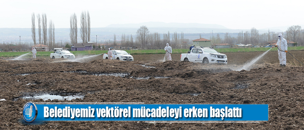 Karasinek ile kaynağında mücadele