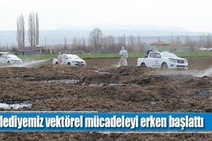 Karasinek ile kaynağında mücadele