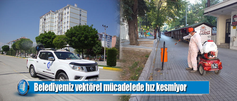Belediyemiz, vektörel mücadelede hız kesmiyor