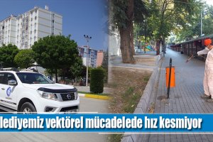 Belediyemiz, vektörel mücadelede hız kesmiyor