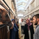 Feyza Aşgın, "Hayvanlar Allah’ın bizlere gönderdiği dilsiz varlıklardır"