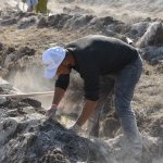 Çorum fidan dikiminde rekor'a koştu