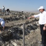 Çorum fidan dikiminde rekor'a koştu