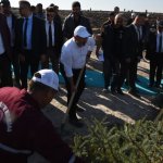 Çorum fidan dikiminde rekor'a koştu