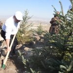 Çorum fidan dikiminde rekor'a koştu