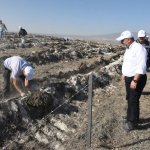 Çorum fidan dikiminde rekor'a koştu