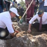 Çorum fidan dikiminde rekor'a koştu