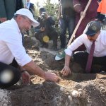 Çorum fidan dikiminde rekor'a koştu