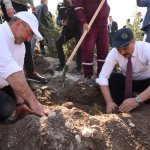 Çorum fidan dikiminde rekor'a koştu