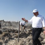 Çorum fidan dikiminde rekor'a koştu