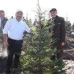 Çorum fidan dikiminde rekor'a koştu