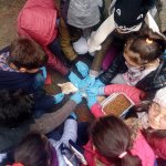 Öğrenciler Evcil Hayvan Parkını gezdi