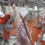 Belediyemiz, Kurban Bayramı hazırlıklarını tamamladı