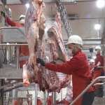 Belediyemiz, Kurban Bayramı hazırlıklarını tamamladı