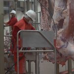 Belediyemiz, Kurban Bayramı hazırlıklarını tamamladı