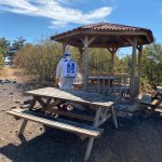 Dezenfekte ekipleri gece-gündüz sahada