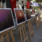 Ödüllü fotoğraflar sergilendi