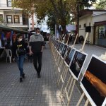 Ödüllü fotoğraflar sergilendi