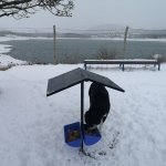 Belediye veteriner işleri 7/24 365 gün hizmet veriyor