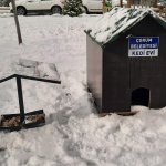 Belediye veteriner işleri 7/24 365 gün hizmet veriyor