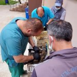 Zifte yapışan yavru köpekler güvenli ellerde