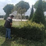 Çiçeklendirme ve çevre düzenleme çalışmaları devam ediyor