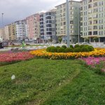 Çiçeklendirme ve çevre düzenleme çalışmaları devam ediyor