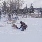 Karla mücadele sabah erken saatlerde başladı