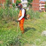 Belediyemizden yabani ot temizliği