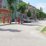 Belediyemizden yabani ot temizliği