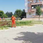 Belediyemizden yabani ot temizliği