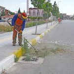 Belediyemizden yabani ot temizliği