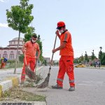 Belediyemizden yabani ot temizliği