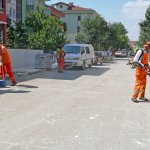 Belediyemizden yabani ot temizliği