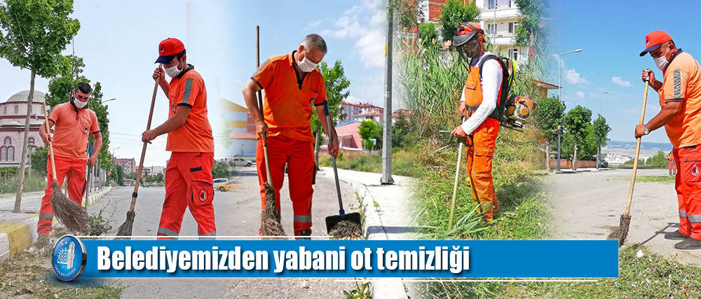 Belediyemizden yabani ot temizliği