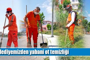 Belediyemizden yabani ot temizliği