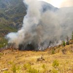 Belediyemiz ekipleri yangın bölgesinde