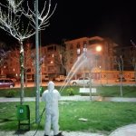 Yaprak bitine erken müdahale