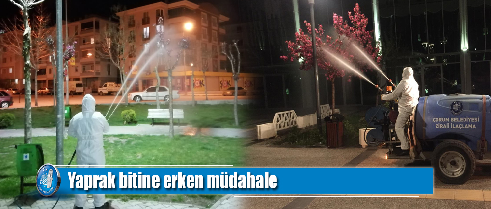 Yaprak bitine erken müdahale